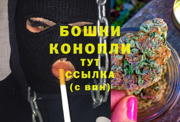 гашик Покровск