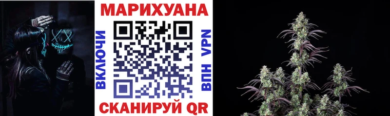 Шишки марихуана семена  как найти закладки  Дивногорск 